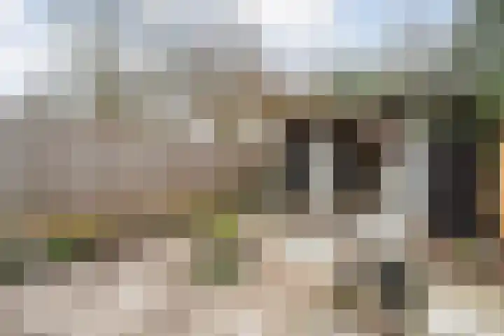 Schukkingdreef 6 Zuidwolde thumbnail 37