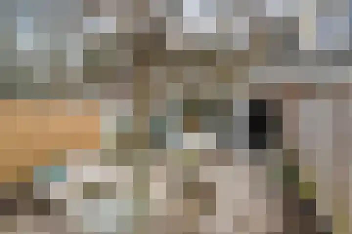 Schukkingdreef 6 Zuidwolde thumbnail 38