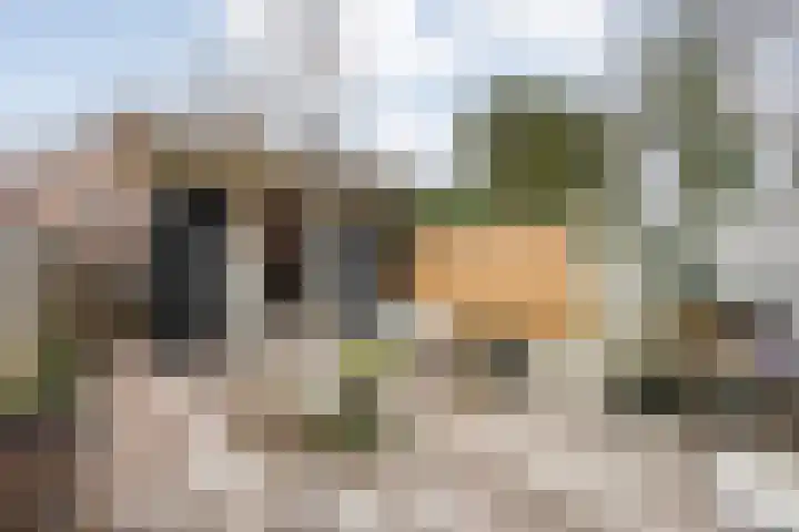 Schukkingdreef 6 Zuidwolde thumbnail 4