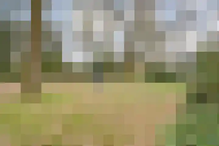 Schukkingdreef 6 Zuidwolde thumbnail 43