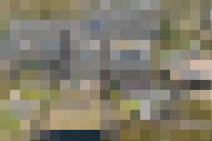 Schukkingdreef 6 Zuidwolde thumbnail 44