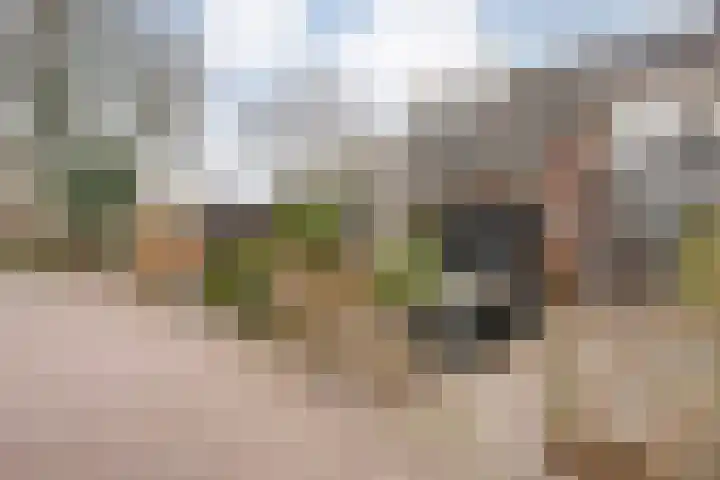 Schukkingdreef 6 Zuidwolde thumbnail 46