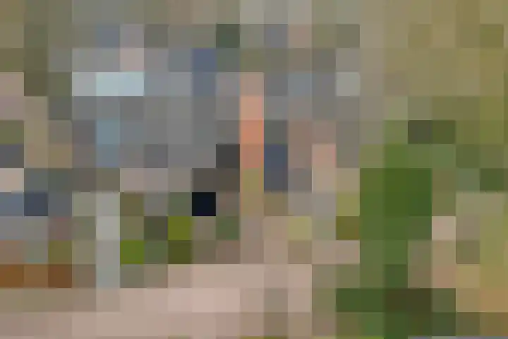 Schukkingdreef 6 Zuidwolde thumbnail 48
