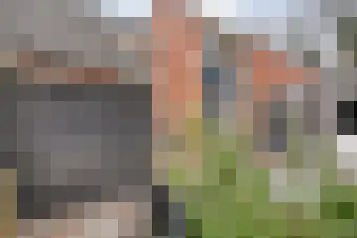 Schukkingdreef 6 Zuidwolde thumbnail 5