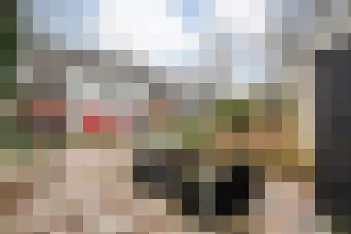 Schukkingdreef 6 Zuidwolde thumbnail 6