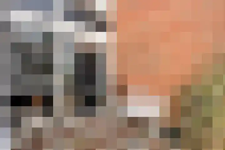Schukkingdreef 6 Zuidwolde thumbnail 7
