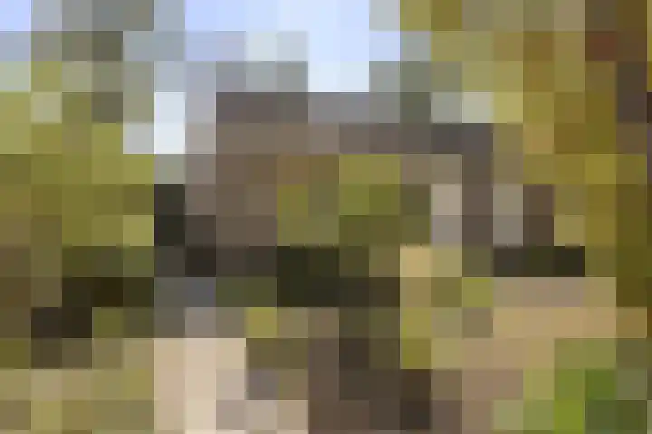 Schukkingpad 3 in Havelte