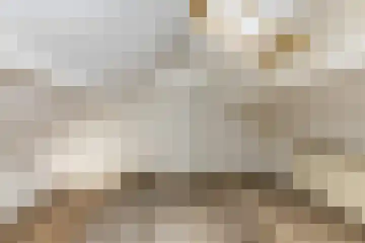 Schukkingpad 3 Havelte thumbnail 12