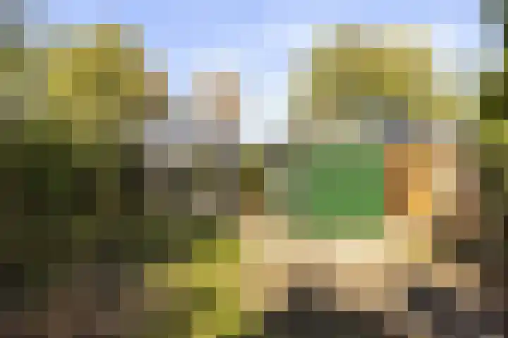 Schukkingpad 3 Havelte thumbnail 14