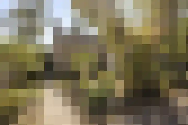 Schukkingpad 3 Havelte foto 2