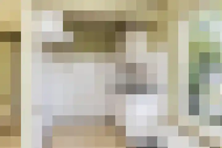 Schukkingpad 3 Havelte thumbnail 8