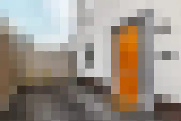 Schulenburg 1 Oostkapelle thumbnail 10