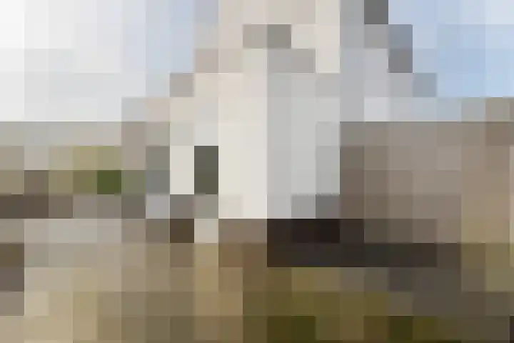 Schulenburg 1 Oostkapelle thumbnail 44