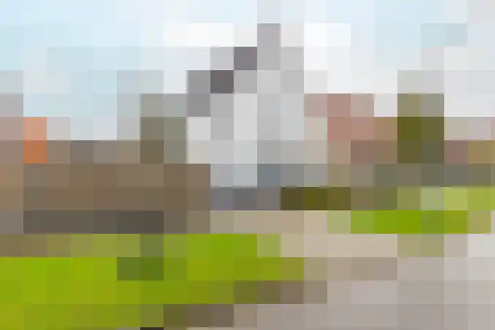 Schulenburg 1 Oostkapelle thumbnail 6