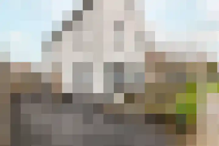 Schulenburg 1 Oostkapelle thumbnail 8