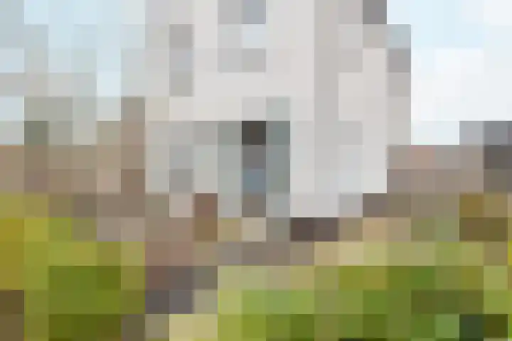 Schulenburg 1 Oostkapelle thumbnail 9