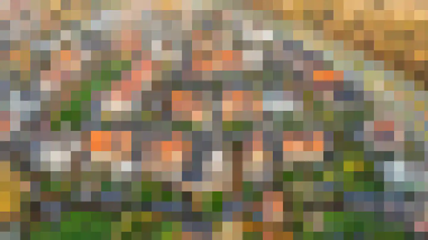 Schulenburg 48 Oostkapelle thumbnail 44