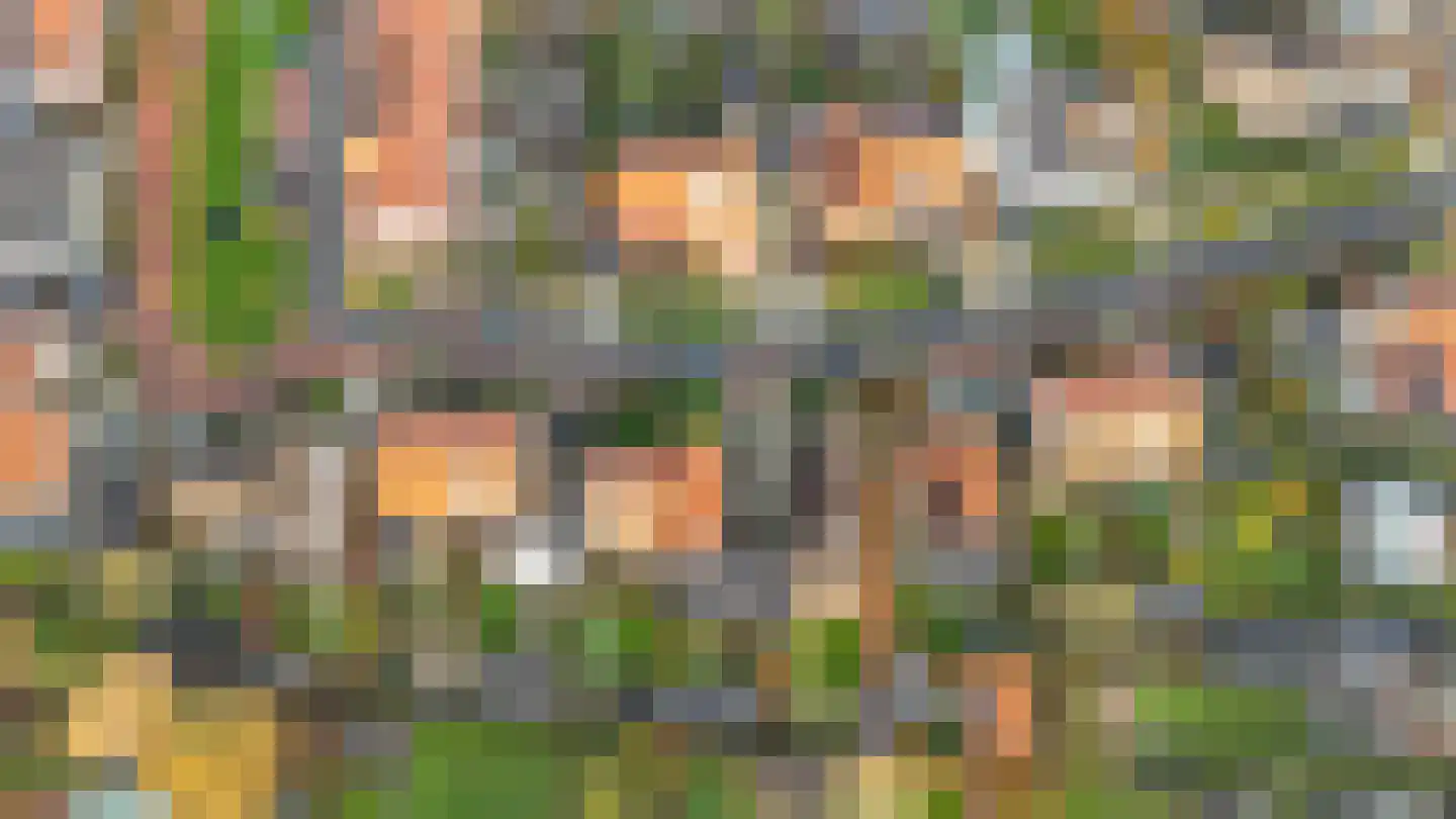 Schulenburg 48 Oostkapelle thumbnail 46