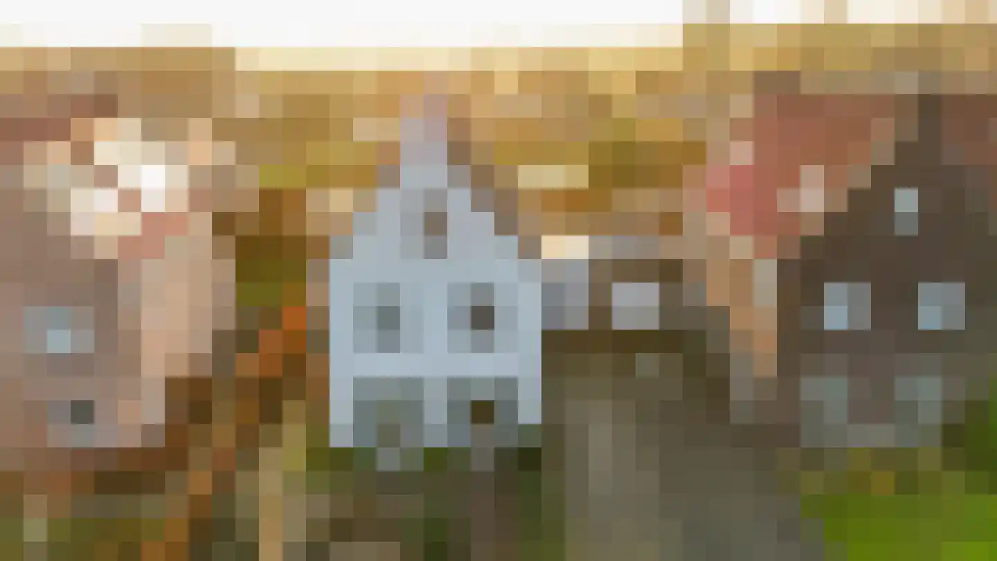 Schulenburg 48 Oostkapelle thumbnail 47