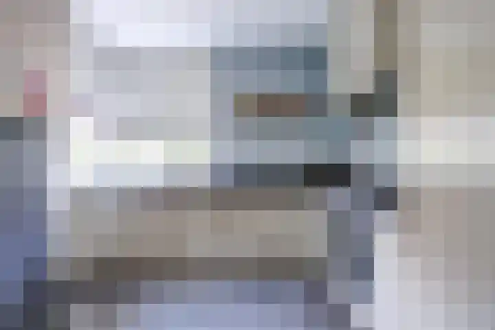 Schulk 1 Hooglanderveen thumbnail 12