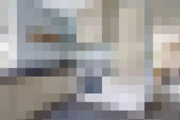 Schulk 1 Hooglanderveen thumbnail 13