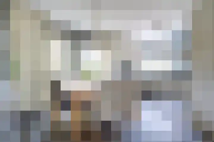 Schulk 1 Hooglanderveen thumbnail 15