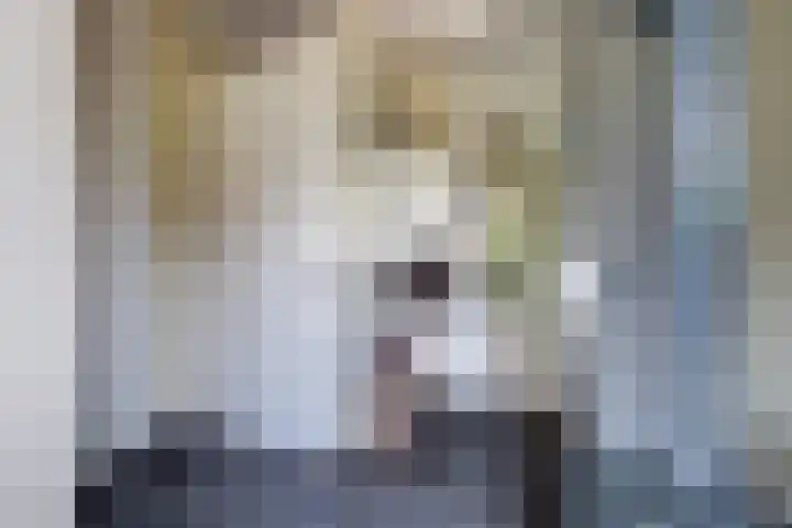 Schulk 1 Hooglanderveen thumbnail 17