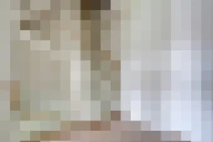 Schulk 1 Hooglanderveen thumbnail 18