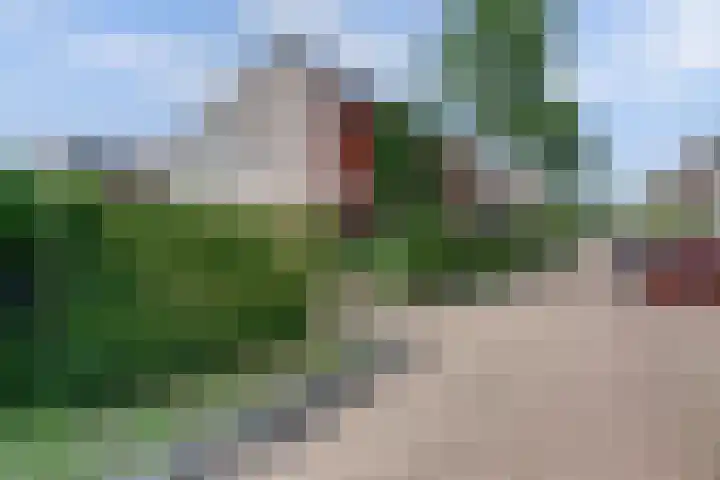 Schulk 1 Hooglanderveen foto 2