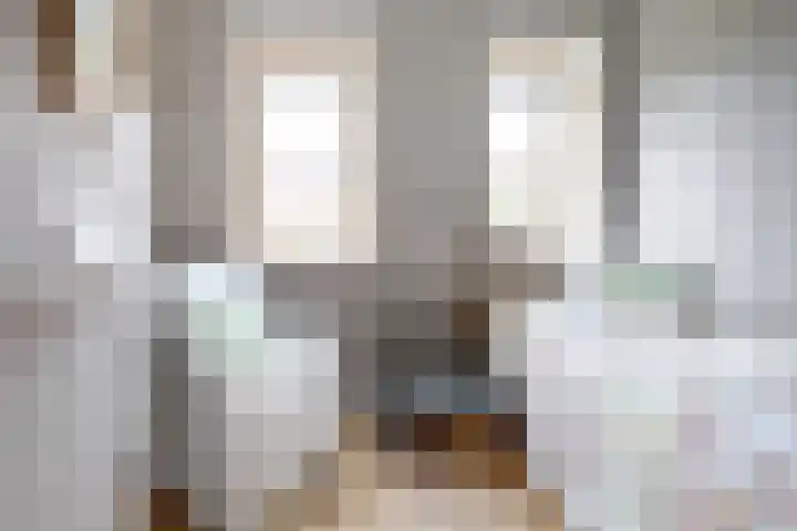 Schulk 1 Hooglanderveen thumbnail 21