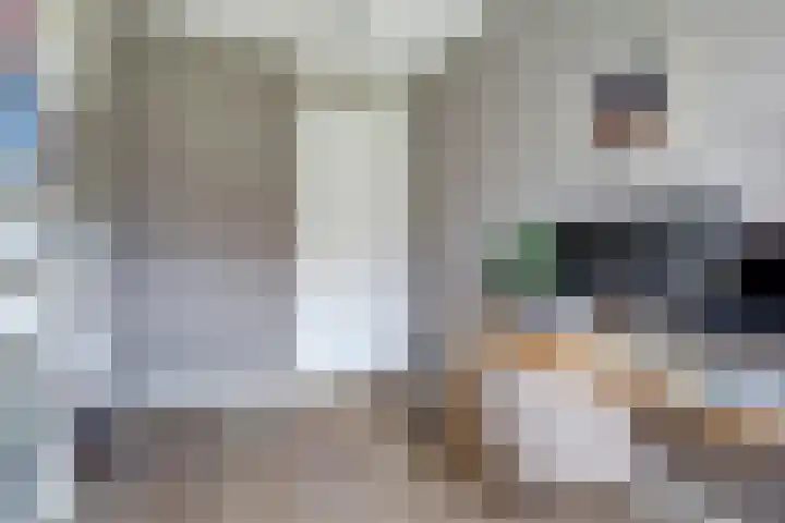 Schulk 1 Hooglanderveen thumbnail 24