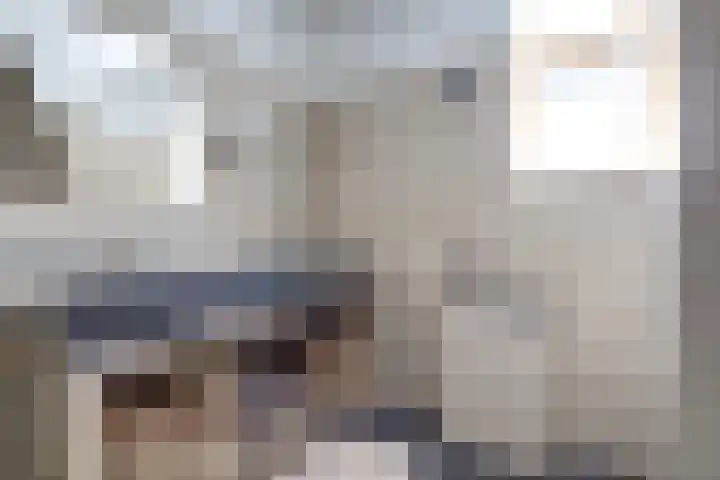 Schulk 1 Hooglanderveen thumbnail 25