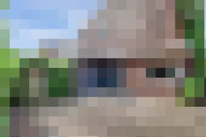 Schulk 1 Hooglanderveen foto 3