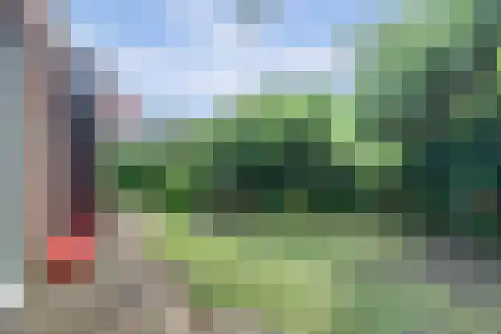 Schulk 1 Hooglanderveen thumbnail 30