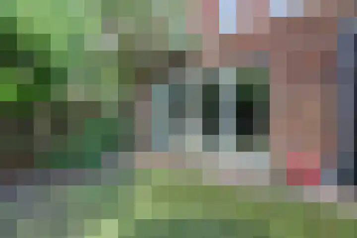 Schulk 1 Hooglanderveen thumbnail 31