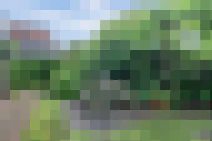 Schulk 1 Hooglanderveen thumbnail 32