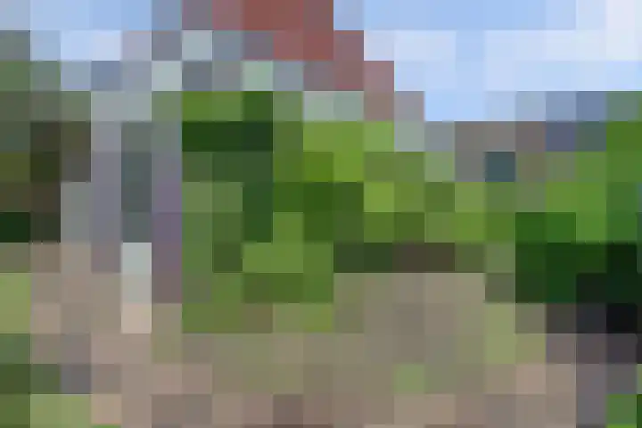 Schulk 1 Hooglanderveen thumbnail 33