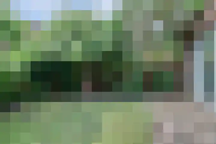 Schulk 1 Hooglanderveen thumbnail 34