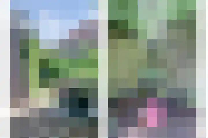 Schulk 1 Hooglanderveen thumbnail 35