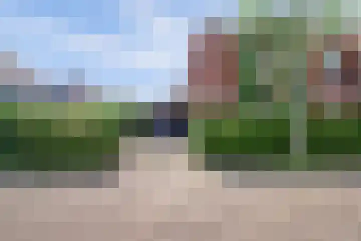 Schulk 1 Hooglanderveen thumbnail 36