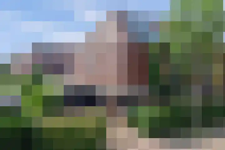 Schulk 1 Hooglanderveen thumbnail 37