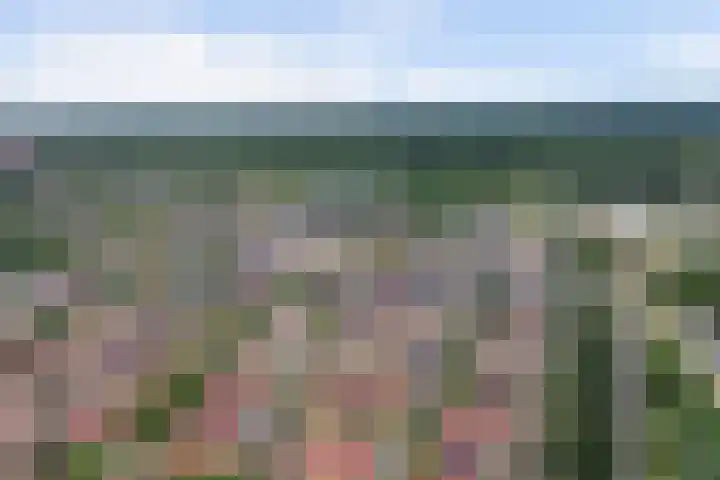 Schulk 1 Hooglanderveen thumbnail 38