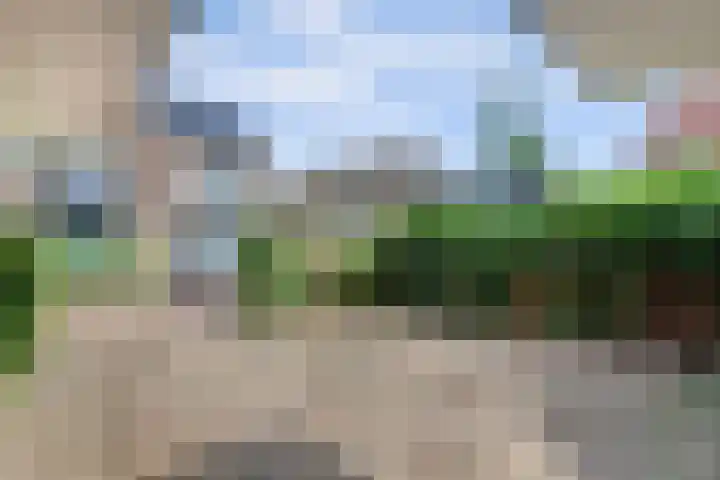 Schulk 1 Hooglanderveen thumbnail 4