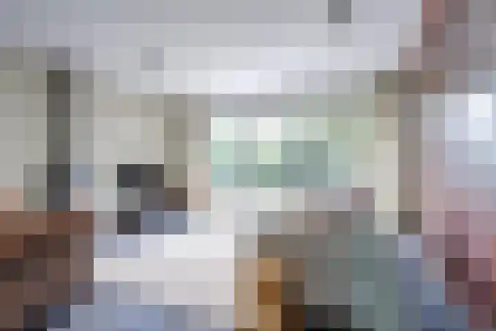 Schulk 1 Hooglanderveen thumbnail 5