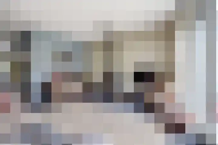 Schulk 1 Hooglanderveen thumbnail 6
