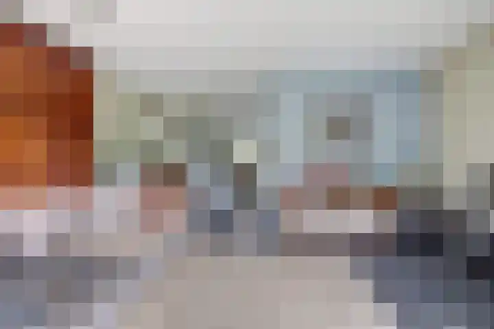 Schulk 1 Hooglanderveen thumbnail 7