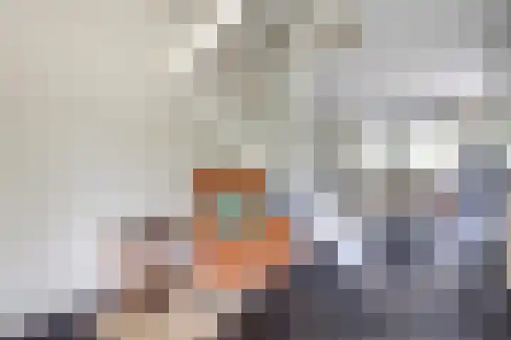 Schulk 1 Hooglanderveen thumbnail 8