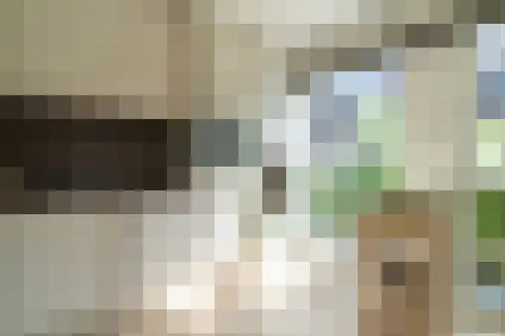 Schulk 11 Hooglanderveen thumbnail 15
