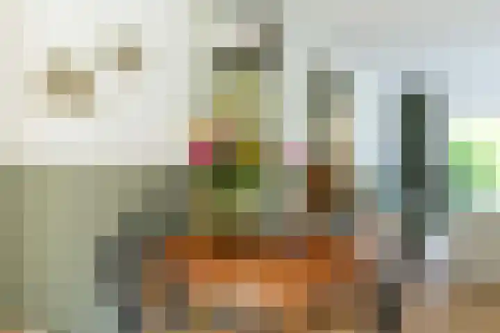 Schulk 11 Hooglanderveen thumbnail 17
