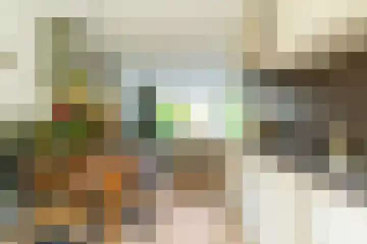 Schulk 11 Hooglanderveen thumbnail 18